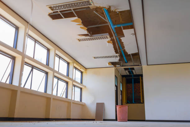 Best Ceiling water damage repair  in Keene, NH